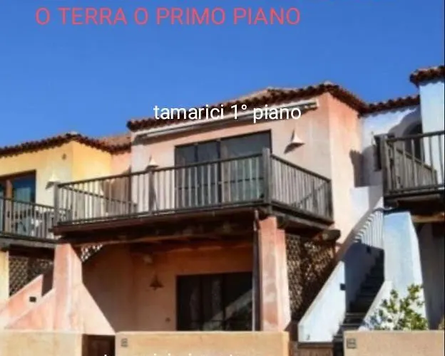 Tamarici